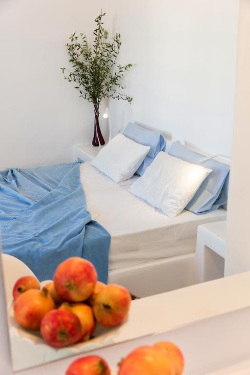 Villa Irena Bianca Νάουσα Εξωτερικό φωτογραφία